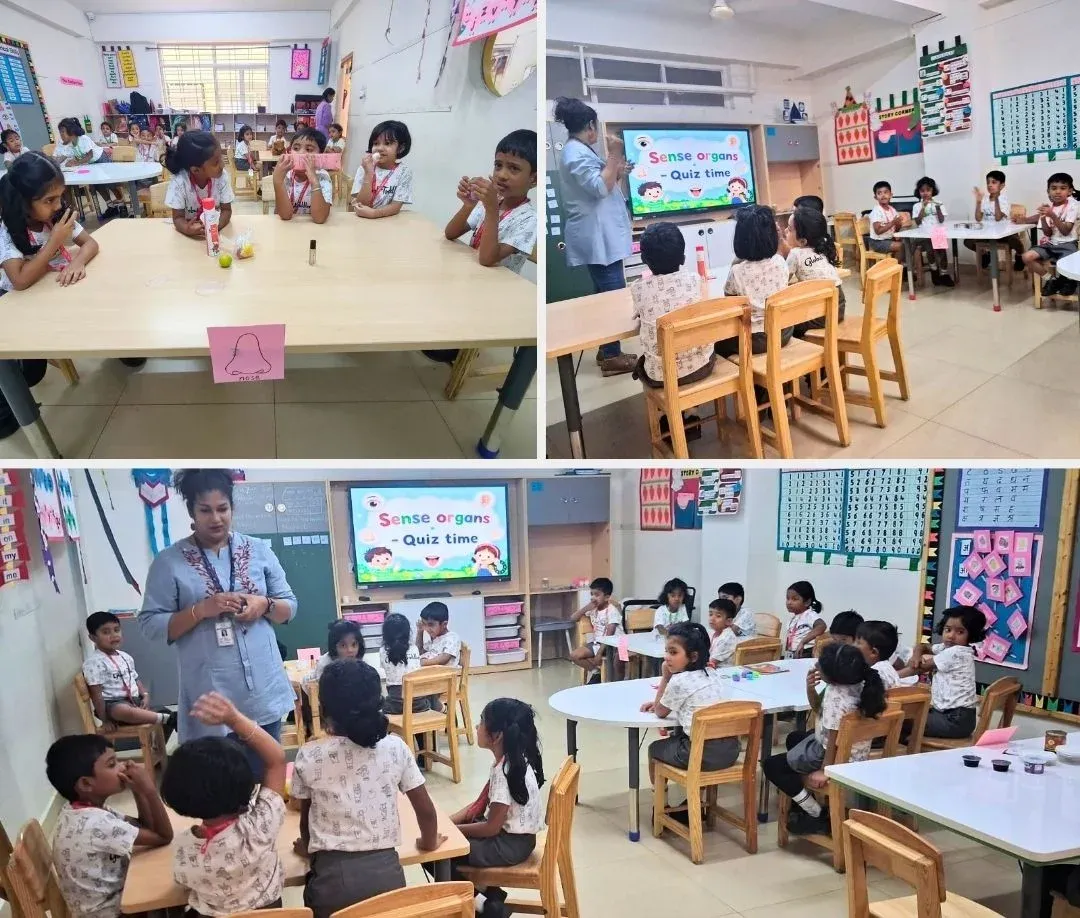 KG2-Lily-Know-Your-Senses-Activity-July-2026