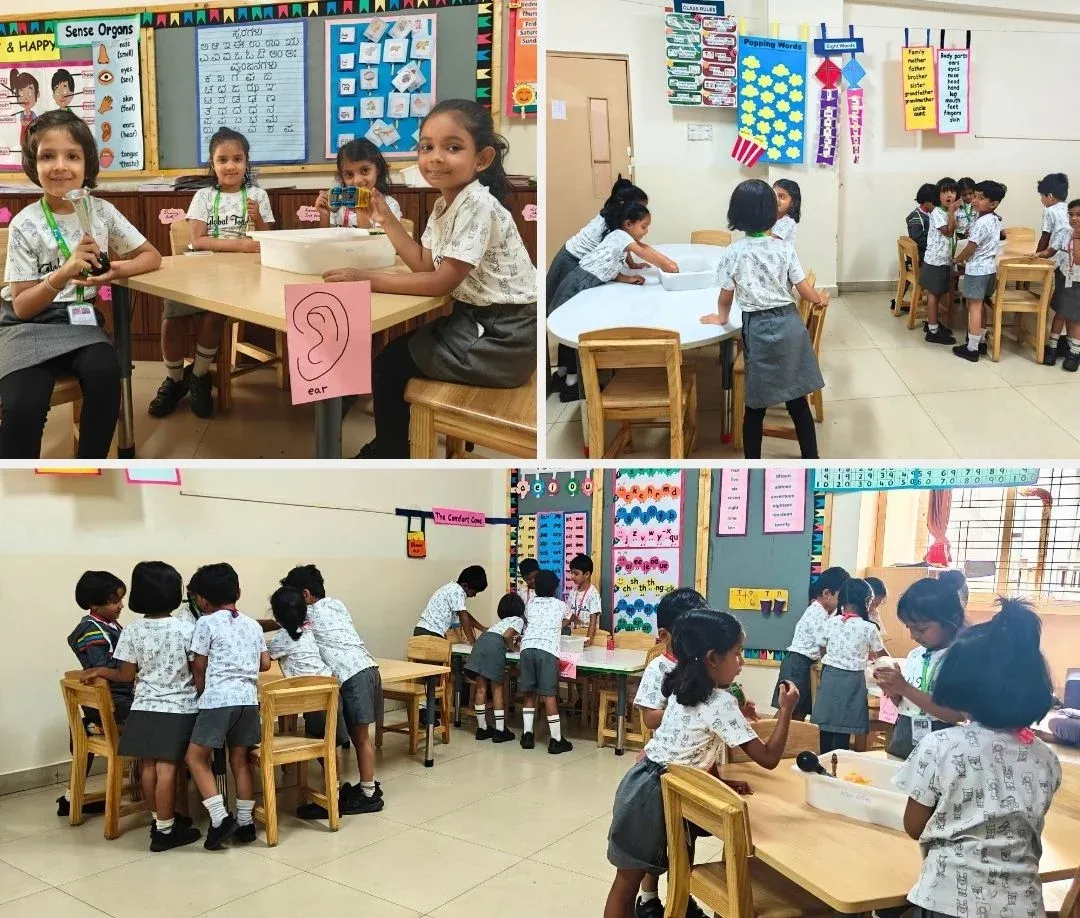 KG2-Lotus-Know-Your-Senses-Activity-July-2026